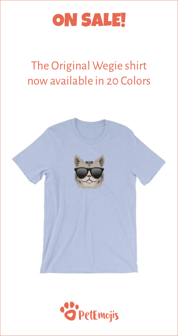 How Big Can Norwegian Forest Cats Get?